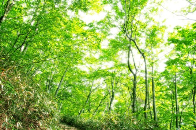 整体で整える体のバランス！不調を根本改善するセルフケアと習慣