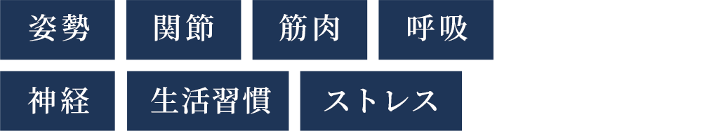 姿勢
関節
筋肉
呼吸
神経
生活習慣
ストレス